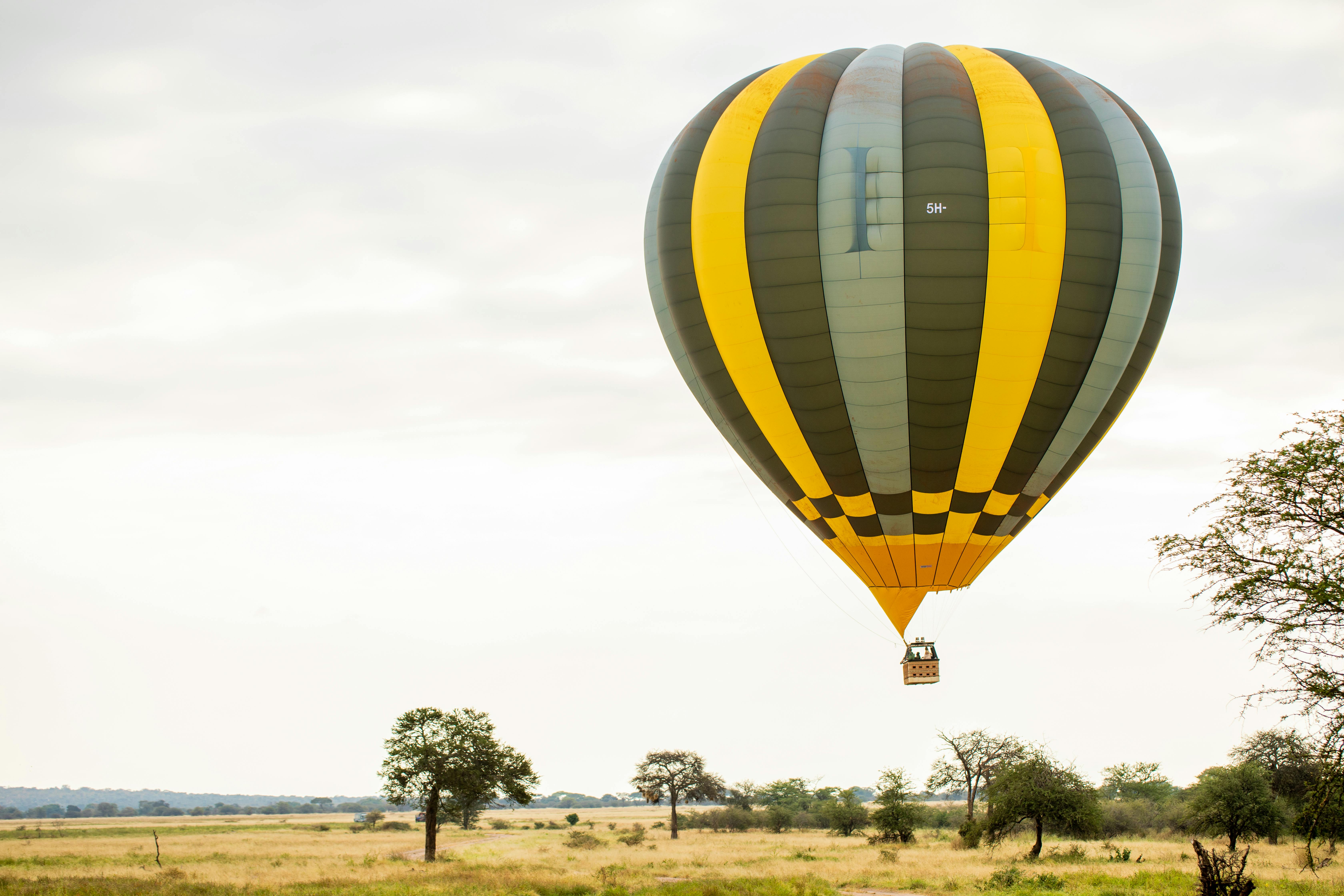 Balloon Safari